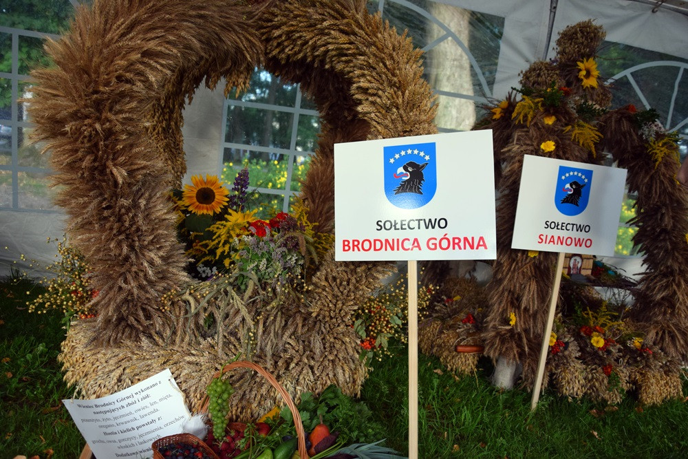 Rolnicy dziękują za plony. Tak było w Borku, Sierakowicach, Kartuzach i Chmielnie