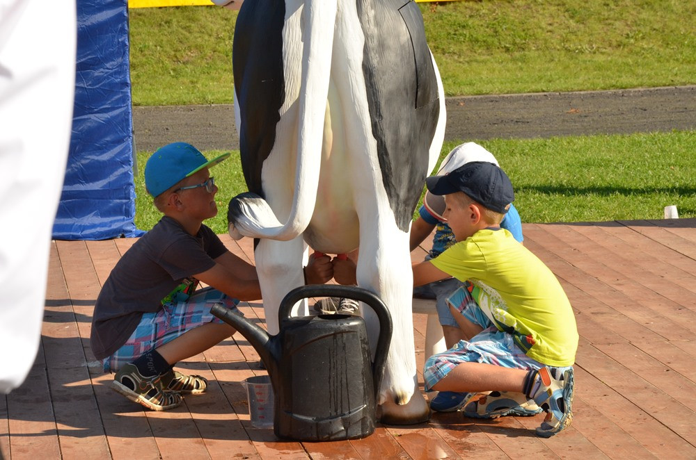Rolnicy dziękują za plony. Tak było w Borku, Sierakowicach, Kartuzach i Chmielnie