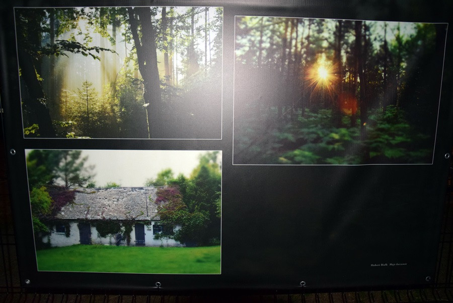 Chmielno. Płomienne widowisko, szanty i fotografie. Pierwszy dzień festiwalu 