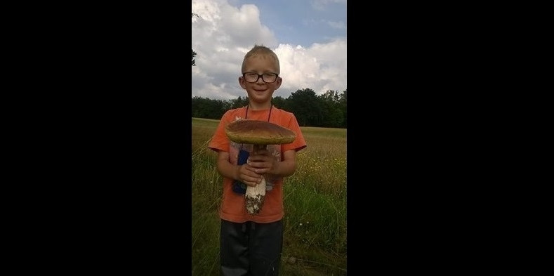 Konkurs na zdjęcie z grzybobrania. Publikujemy wasze fotografie