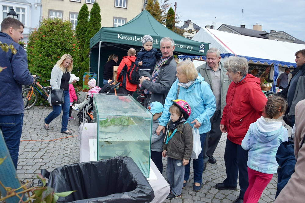 Kartuzy. Targ Produktów Ekologicznych. Sprzedawano miody, sery, warzywa, lokalne specjały