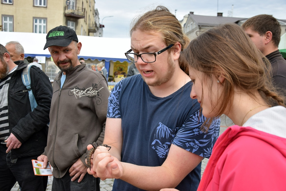 Kartuzy. Targ Produktów Ekologicznych. Sprzedawano miody, sery, warzywa, lokalne specjały