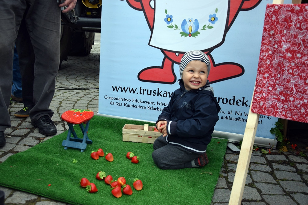 Kartuzy. Targ Produktów Ekologicznych. Sprzedawano miody, sery, warzywa, lokalne specjały