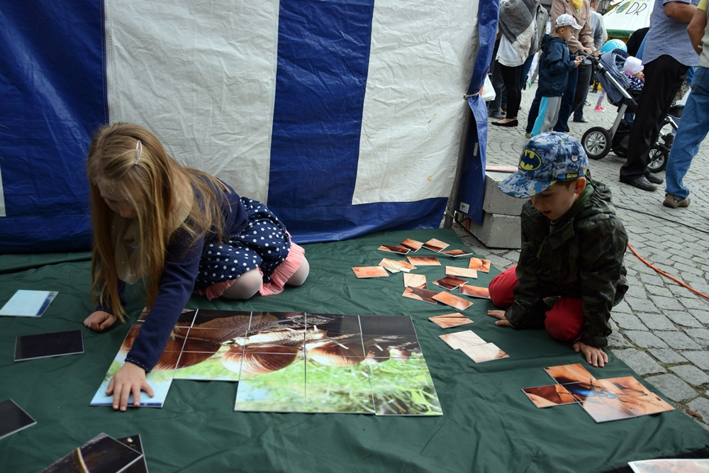Kartuzy. Targ Produktów Ekologicznych. Sprzedawano miody, sery, warzywa, lokalne specjały