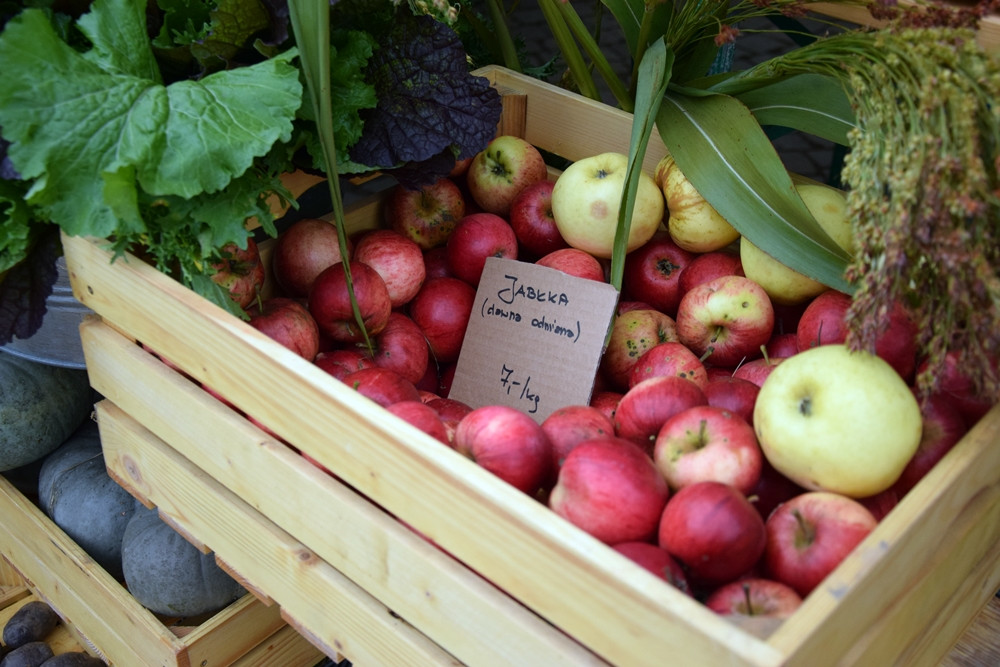 Kartuzy. Targ Produktów Ekologicznych. Sprzedawano miody, sery, warzywa, lokalne specjały