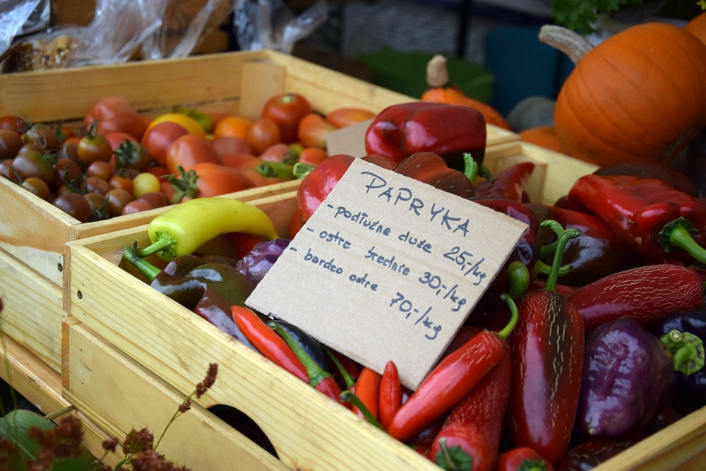 Kartuzy. Targ Produktów Ekologicznych. Sprzedawano miody, sery, warzywa, lokalne specjały