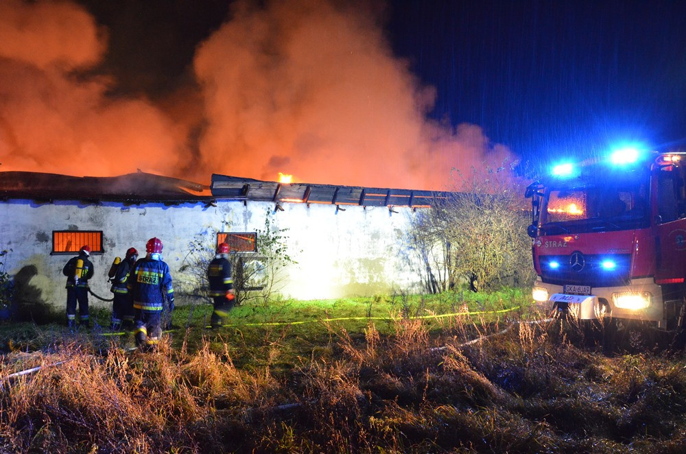 Mezowo. Potężny pożar kurnika. Strażacy długo walczyli z ogniem