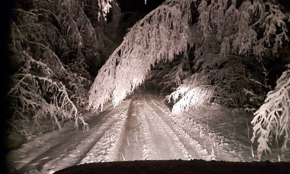 Ekstremalne warunki na drogach, powalone drzewa, brak prądu (aktualizacja)
