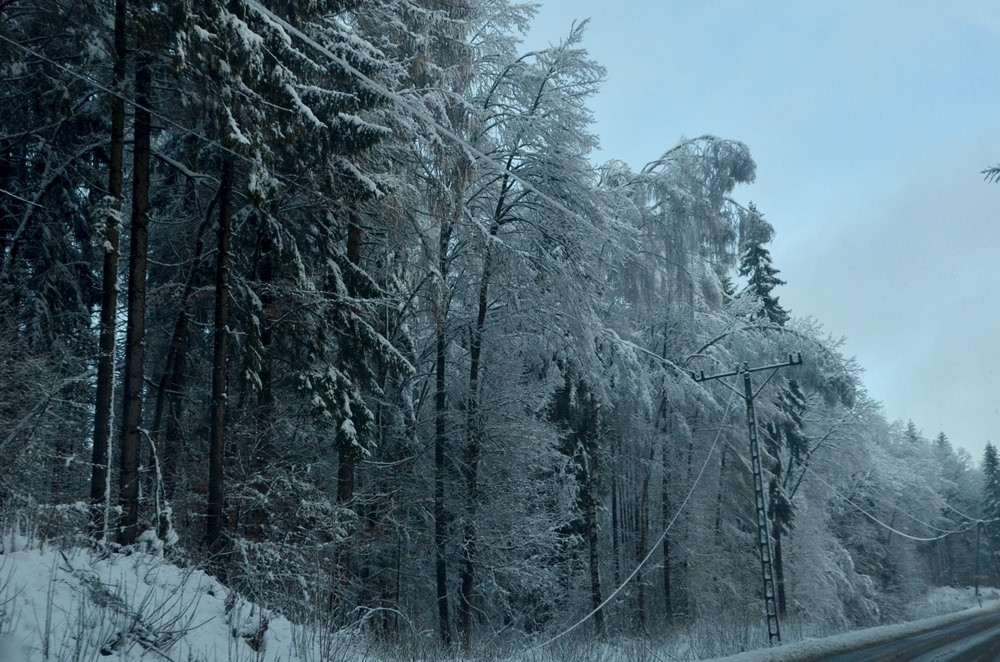 Ekstremalne warunki na drogach, powalone drzewa, brak prądu (aktualizacja)