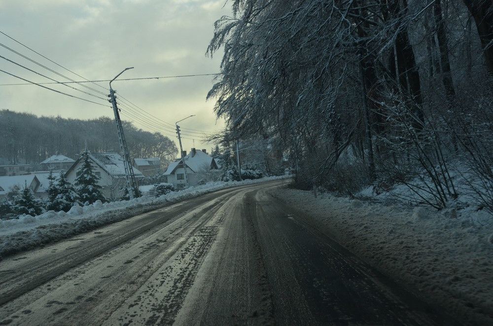Ekstremalne warunki na drogach, powalone drzewa, brak prądu (aktualizacja)