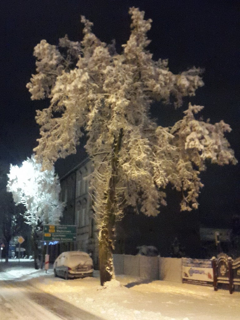 Ekstremalne warunki na drogach, powalone drzewa, brak prądu (aktualizacja)