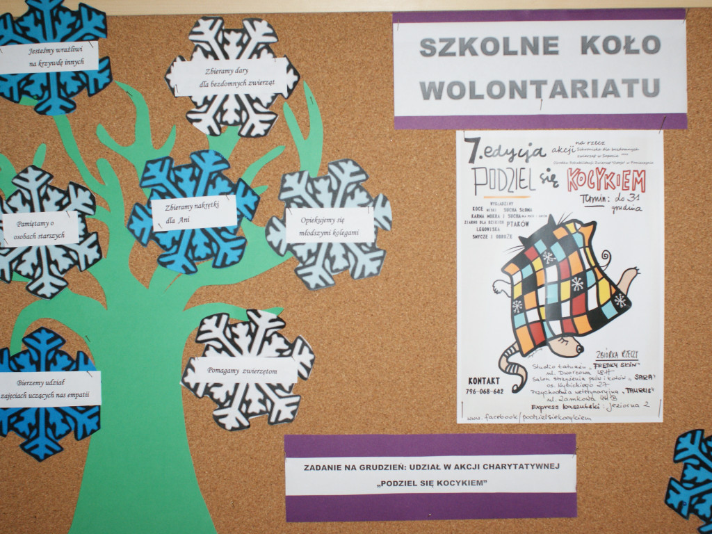 Czytelnicy wciąż przynoszą dary dla schroniskowych zwierząt, w szkołach trwają zbiórki
