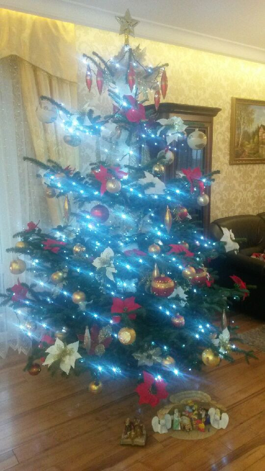 Galeria Waszych choinek. Ty też pochwal się swoim drzewkiem