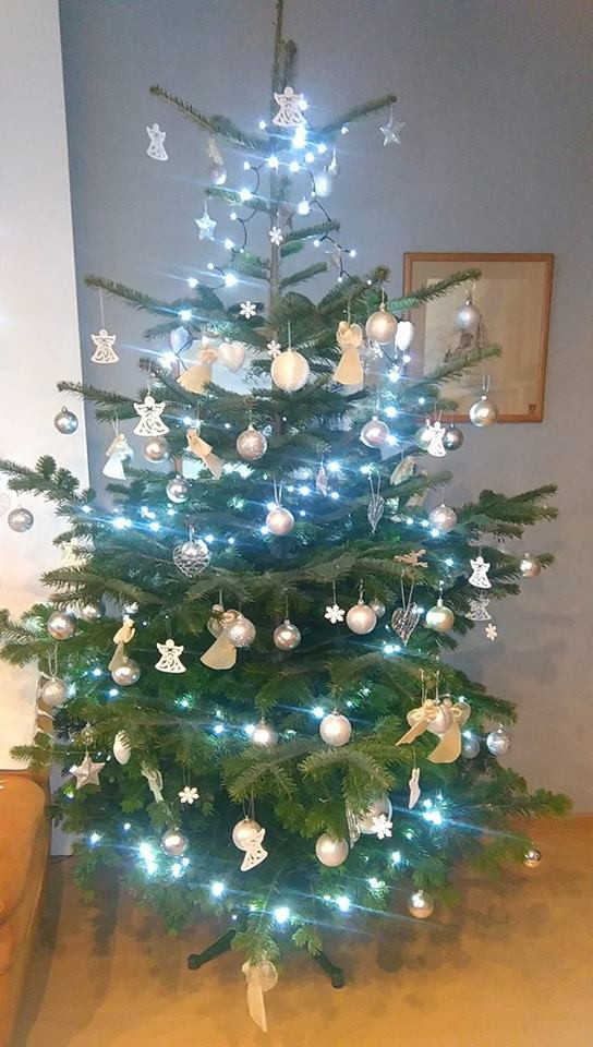 Galeria Waszych choinek. Ty też pochwal się swoim drzewkiem