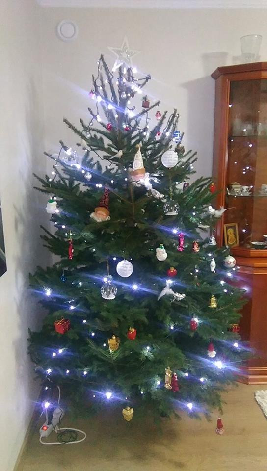 Galeria Waszych choinek. Ty też pochwal się swoim drzewkiem