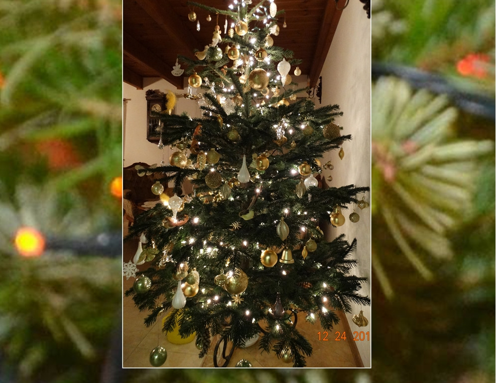 Galeria Waszych choinek. Ty też pochwal się swoim drzewkiem