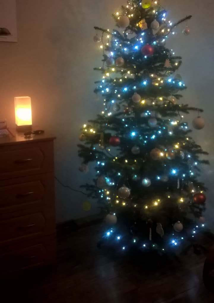 Galeria Waszych choinek. Ty też pochwal się swoim drzewkiem