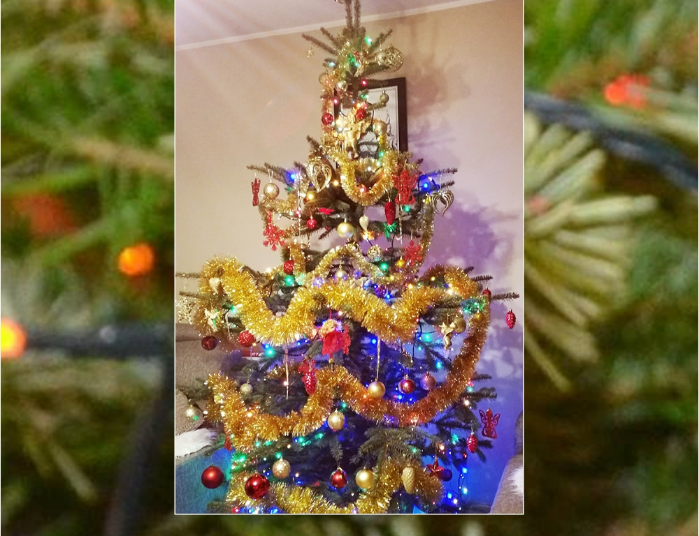 Galeria Waszych choinek. Ty też pochwal się swoim drzewkiem