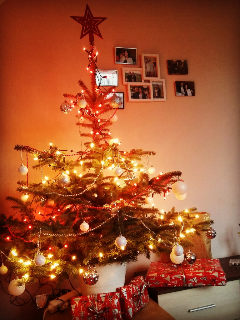 Galeria Waszych choinek. Ty też pochwal się swoim drzewkiem