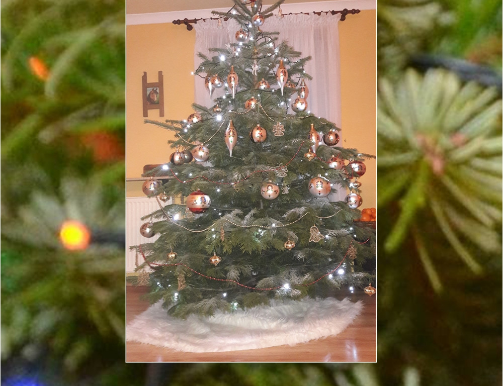 Galeria Waszych choinek. Ty też pochwal się swoim drzewkiem