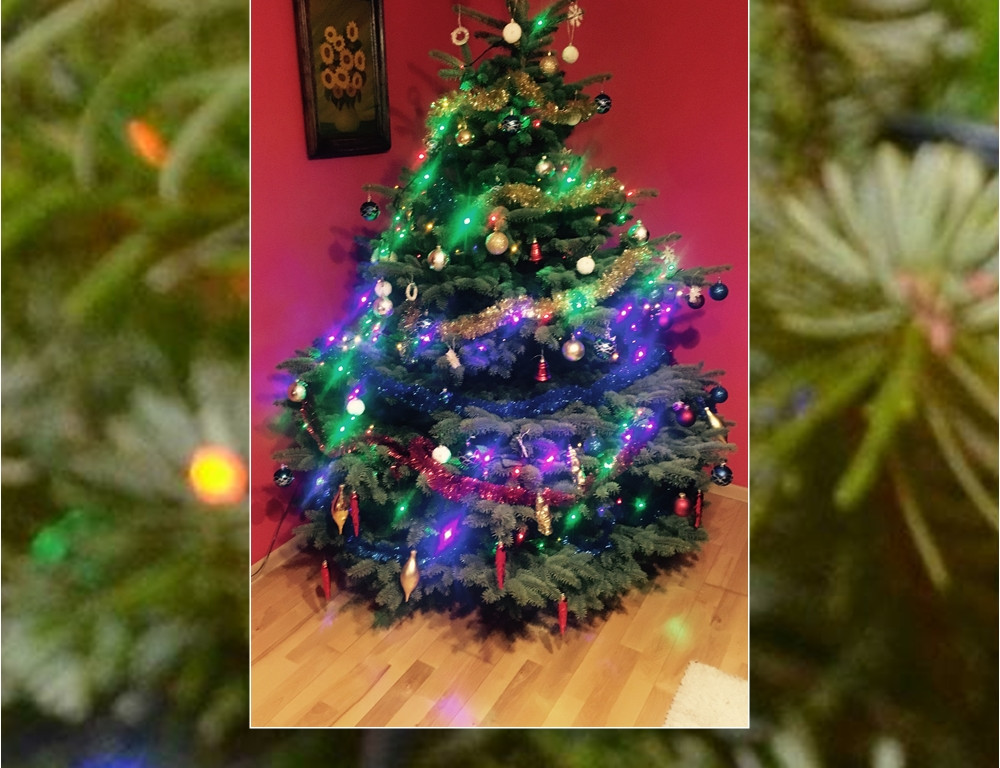 Galeria Waszych choinek. Ty też pochwal się swoim drzewkiem