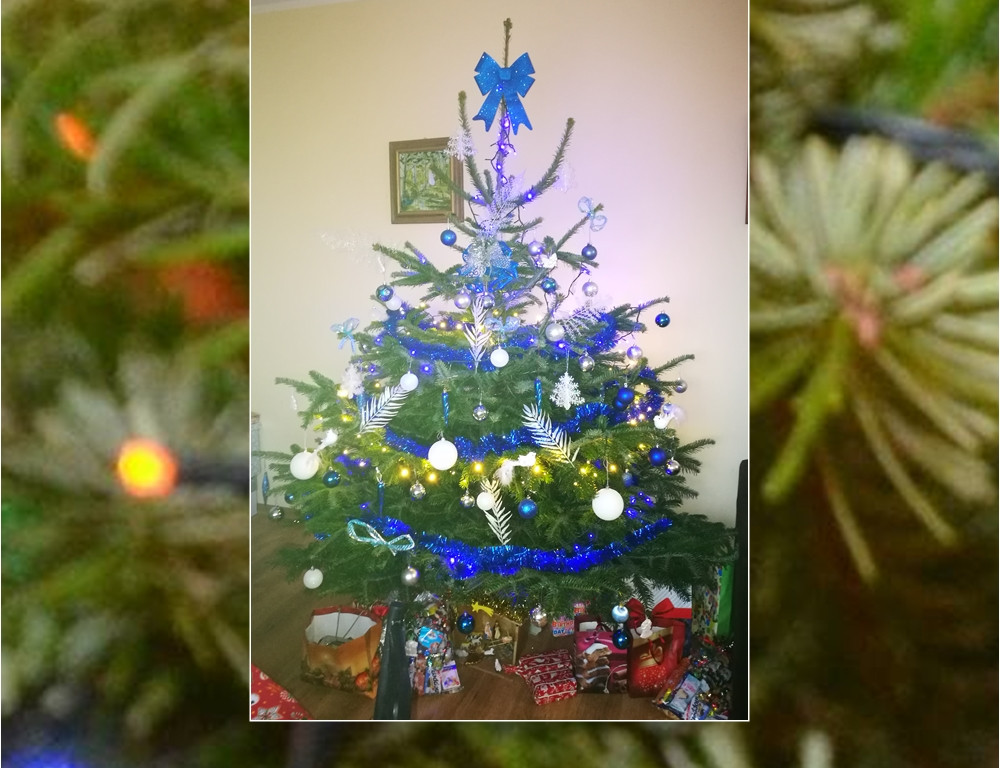 Galeria Waszych choinek. Ty też pochwal się swoim drzewkiem