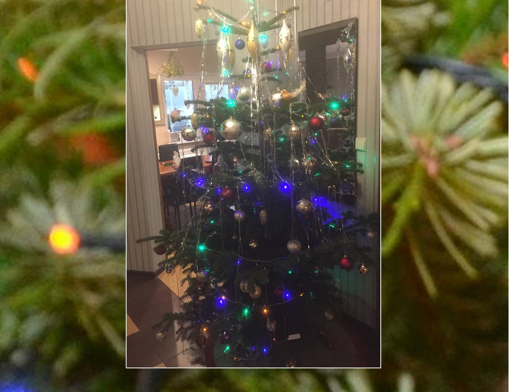 Galeria Waszych choinek. Ty też pochwal się swoim drzewkiem