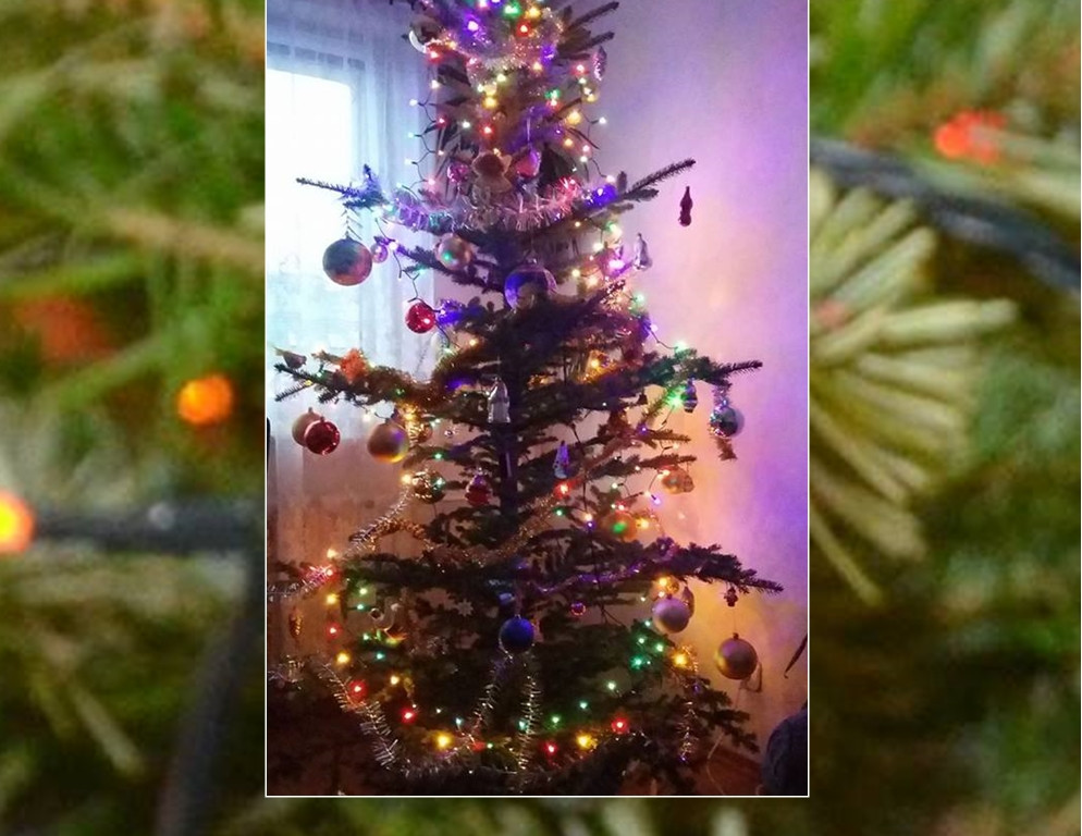 Galeria Waszych choinek. Ty też pochwal się swoim drzewkiem
