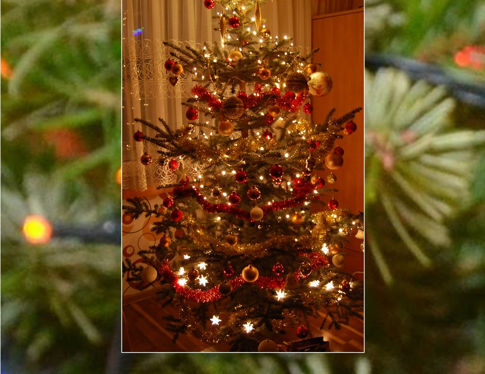 Galeria Waszych choinek. Ty też pochwal się swoim drzewkiem