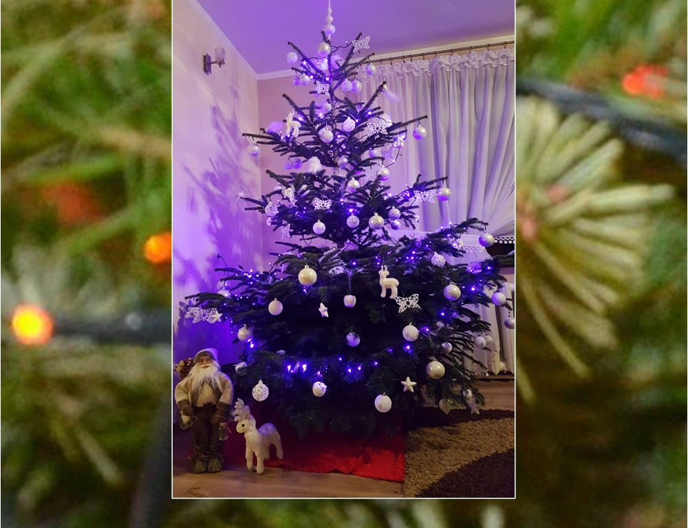 Galeria Waszych choinek. Ty też pochwal się swoim drzewkiem