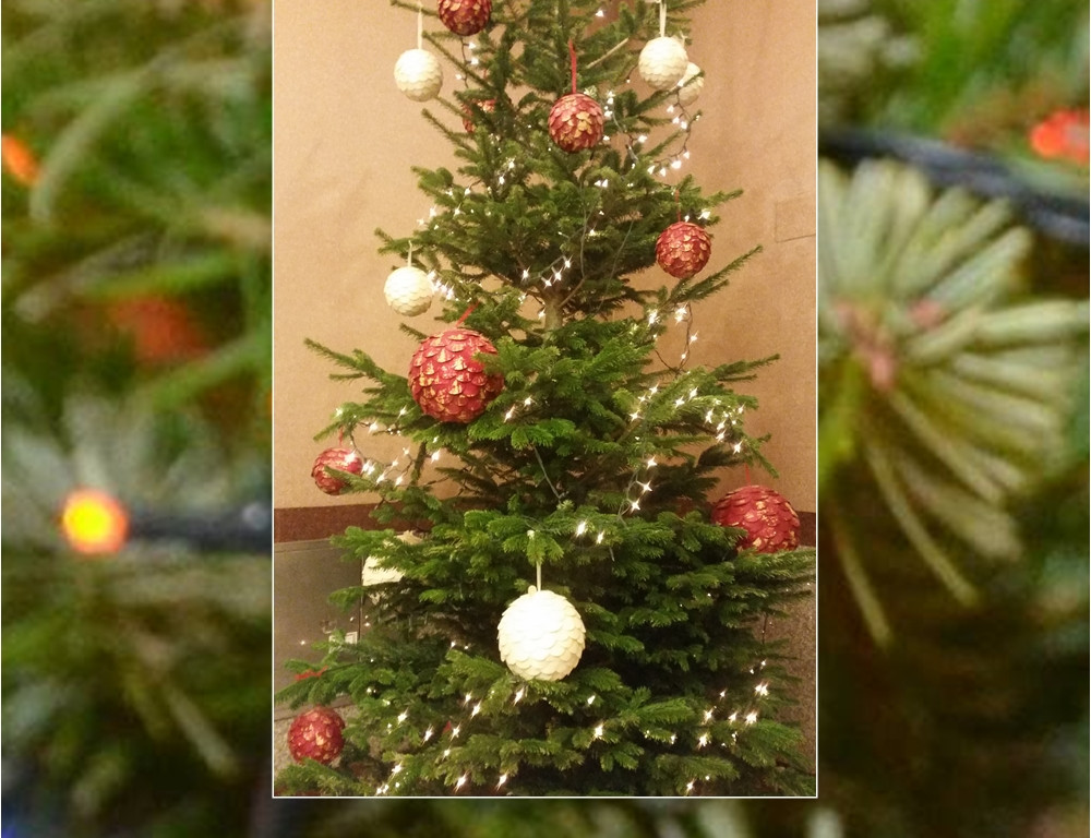 Galeria Waszych choinek. Ty też pochwal się swoim drzewkiem