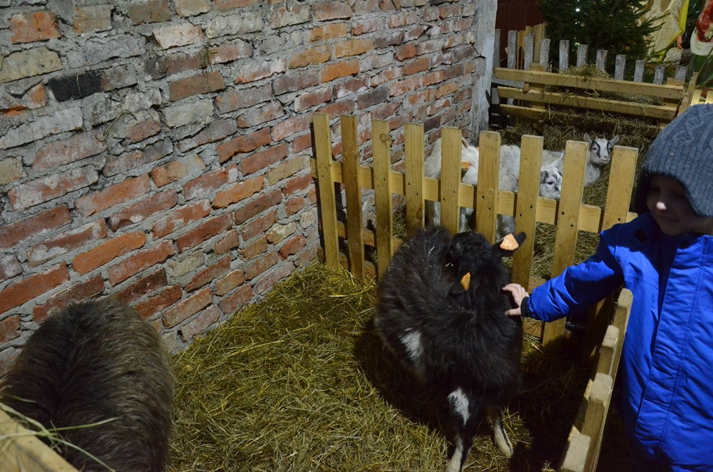 Święta Rodzina, aniołowie, pastuszkowie... Szopki w kościołach w powiecie