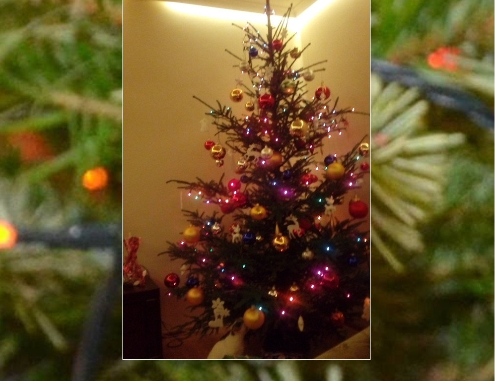 Galeria Waszych choinek. Ty też pochwal się swoim drzewkiem