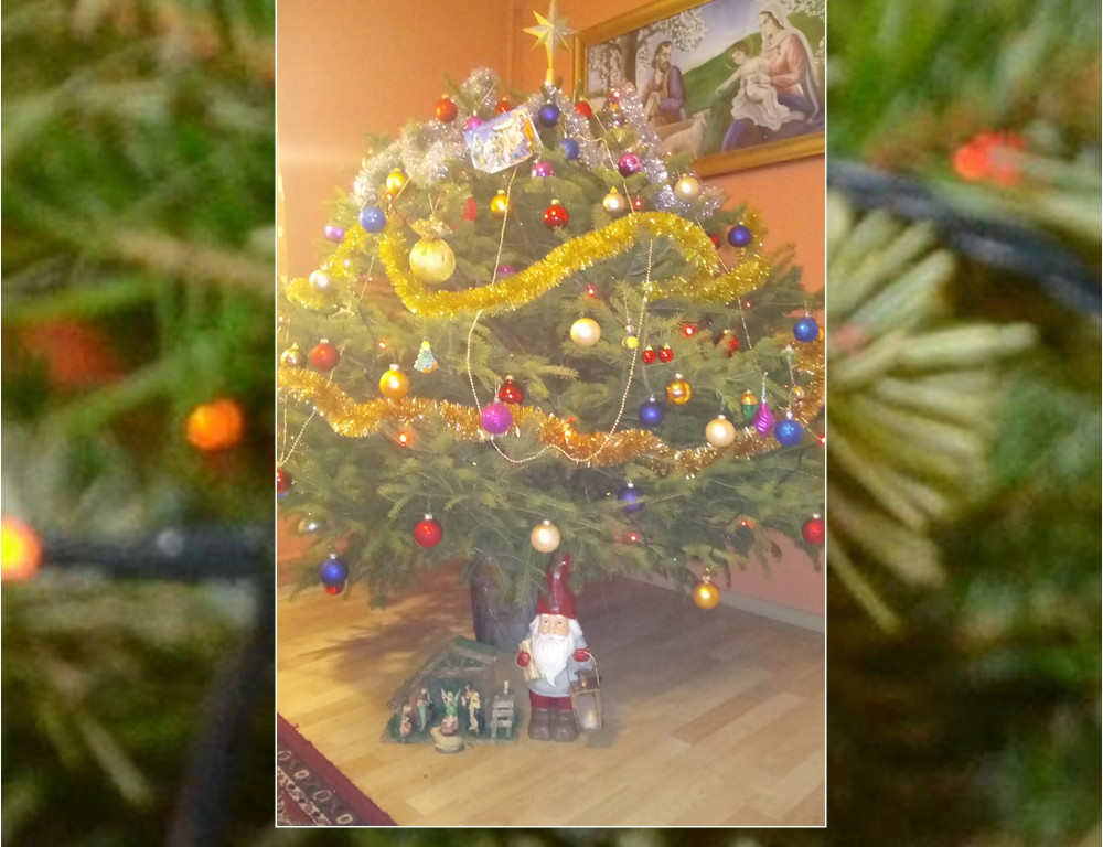 Galeria Waszych choinek. Ty też pochwal się swoim drzewkiem