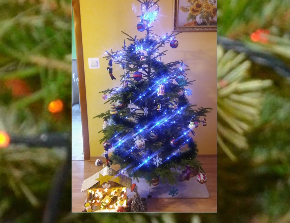 Galeria Waszych choinek. Ty też pochwal się swoim drzewkiem