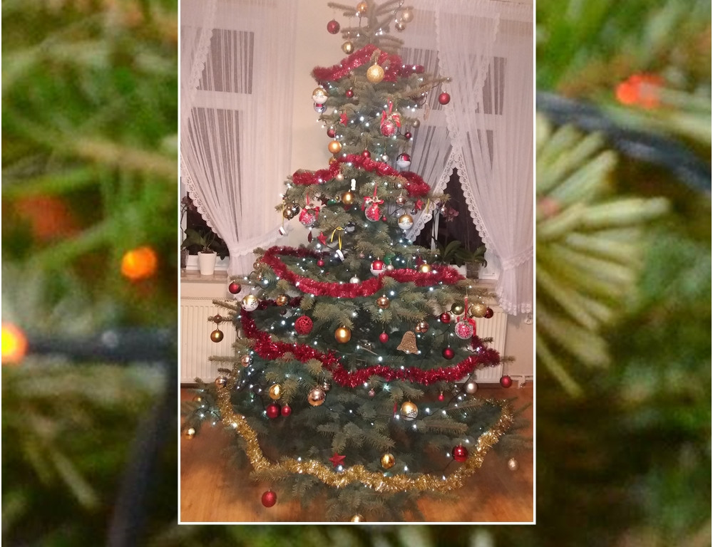 Galeria Waszych choinek. Ty też pochwal się swoim drzewkiem