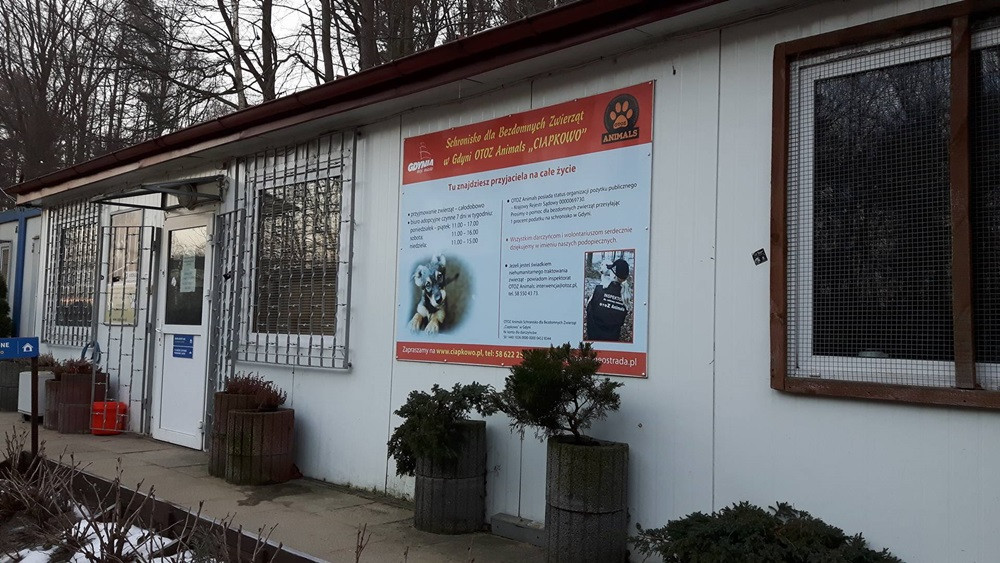 Akcja Podziel się Kocykiem rekordowa! Zebrano 781 kg karmy, kilkaset kocyków i zwierzęcych akcesoriów
