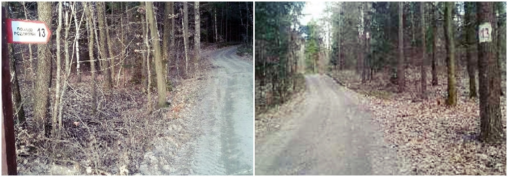 Niebezpieczny kwiecień. W tym miesiącu w lasach wybucha najwięcej pożarów