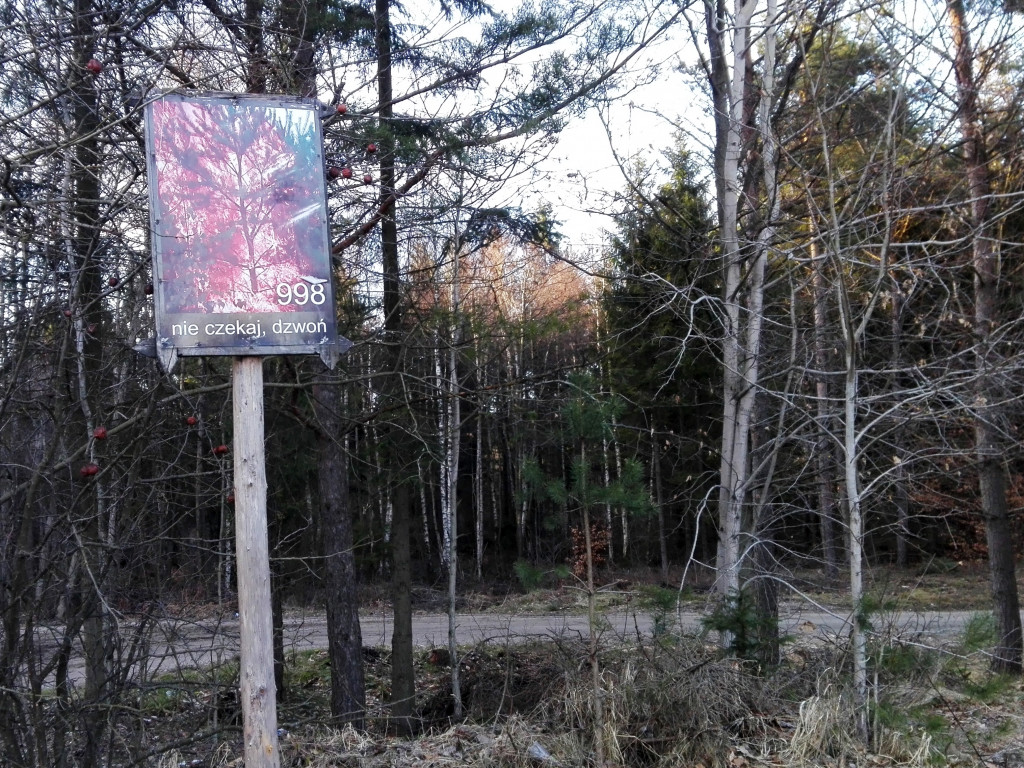 Niebezpieczny kwiecień. W tym miesiącu w lasach wybucha najwięcej pożarów