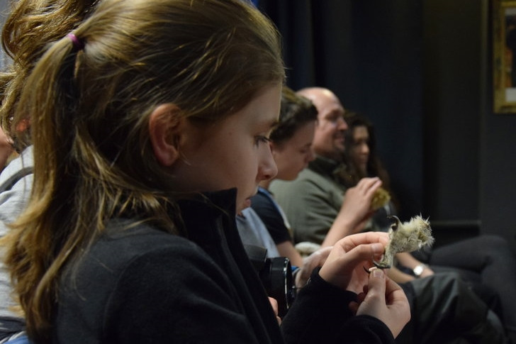 Inspirujące warsztaty z nasłuchiwania sów w kartuskim lesie