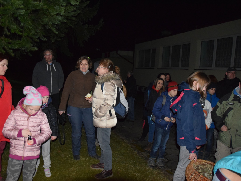 Inspirujące warsztaty z nasłuchiwania sów w kartuskim lesie