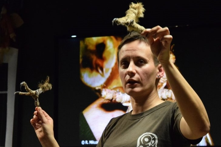 Inspirujące warsztaty z nasłuchiwania sów w kartuskim lesie