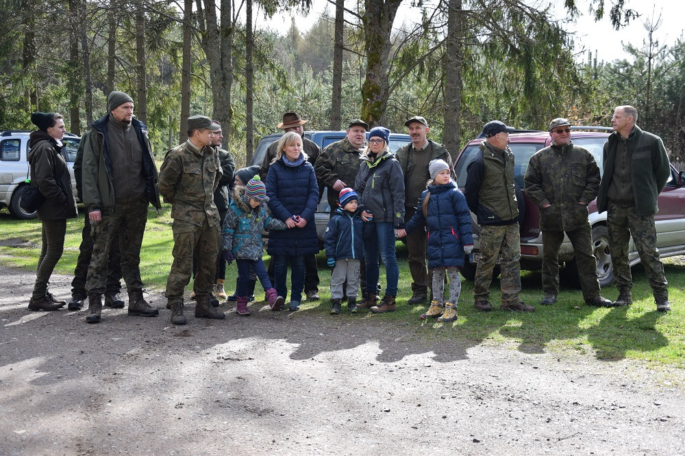 Akcja sadzenia drzew w mirachowskich lasach. Odtworzą drzewostan zniszczony przez kornika