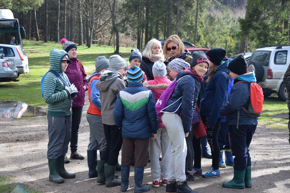 Akcja sadzenia drzew w mirachowskich lasach. Odtworzą drzewostan zniszczony przez kornika