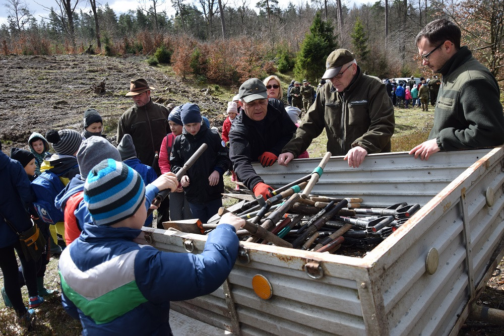 Akcja sadzenia drzew w mirachowskich lasach. Odtworzą drzewostan zniszczony przez kornika