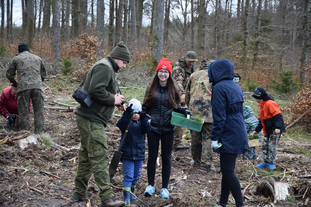 Akcja sadzenia drzew w mirachowskich lasach. Odtworzą drzewostan zniszczony przez kornika