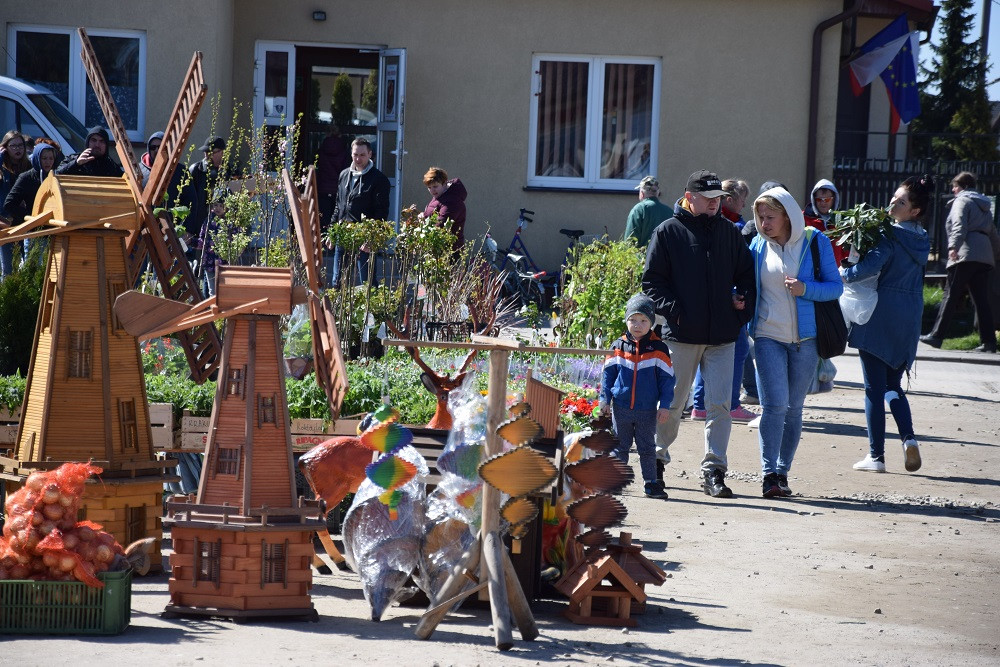 Sierakowice. Targowisko pokryło się setkami kwiatów i krzewów
