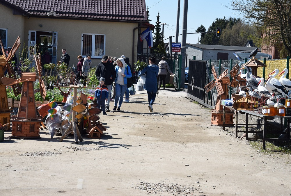 Sierakowice. Targowisko pokryło się setkami kwiatów i krzewów