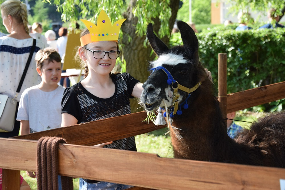 Kartuzy. Wesoły i rodzinny festyn w 
