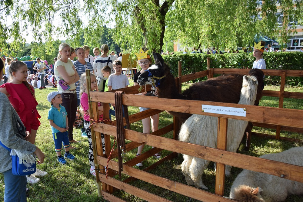Kartuzy. Wesoły i rodzinny festyn w 